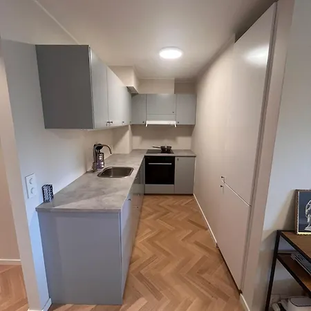 Appartement Pen I Et Koselig Nabolag Oslo